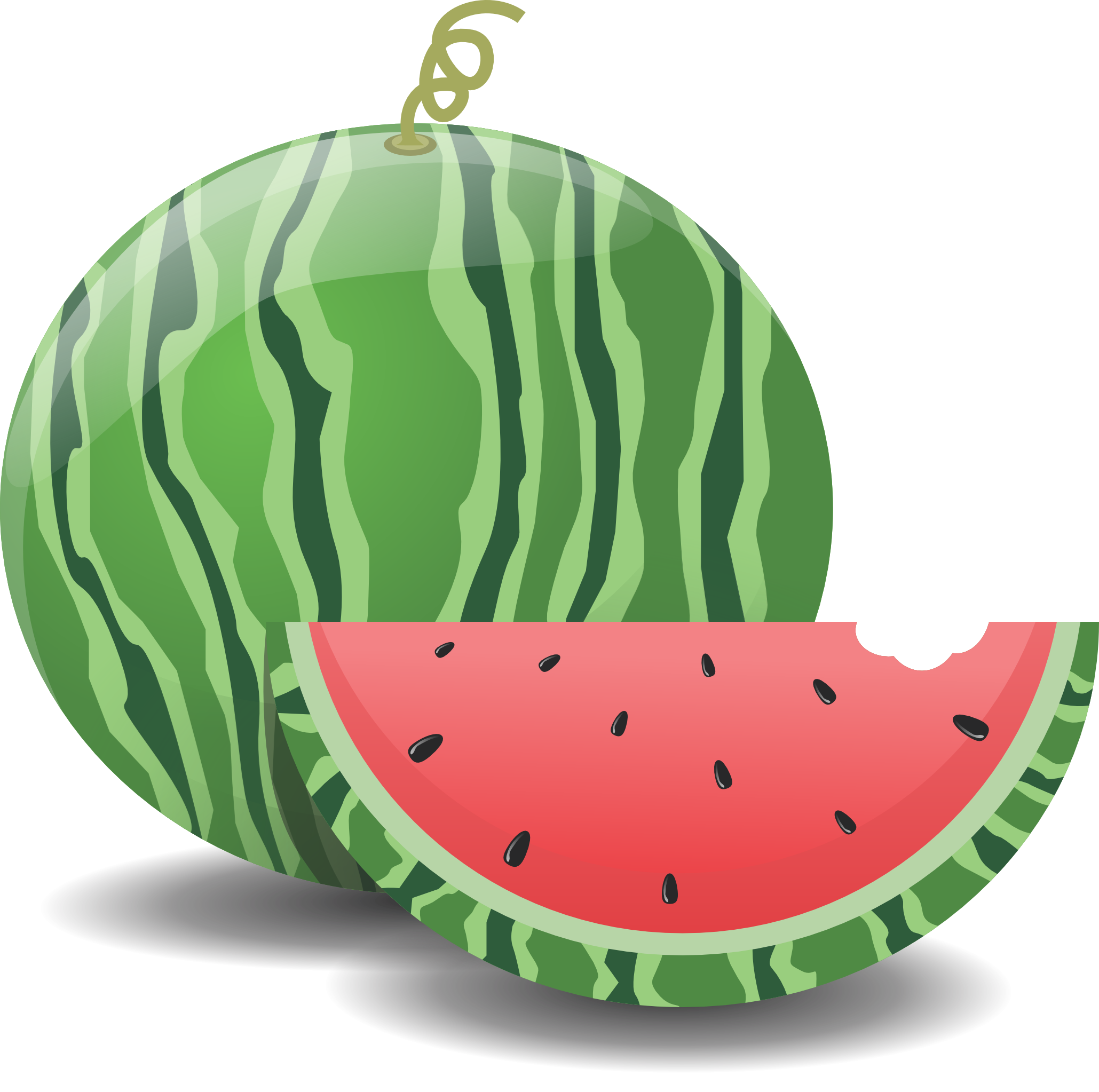 September 9, 2025 Watermelon